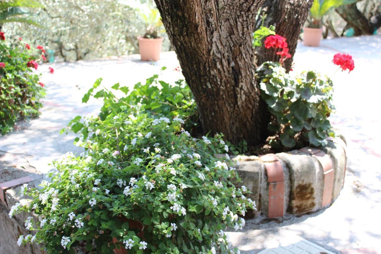 Villa Casa Josella Massa Lubrense Exterior foto