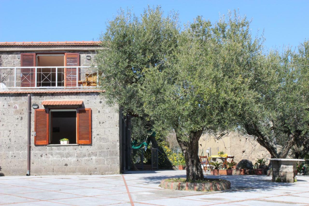 Villa Casa Josella Massa Lubrense Exterior foto